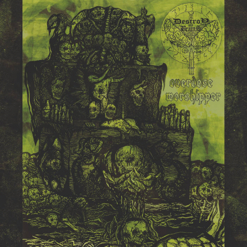 Destroy My Brains : Overdose Worshipper